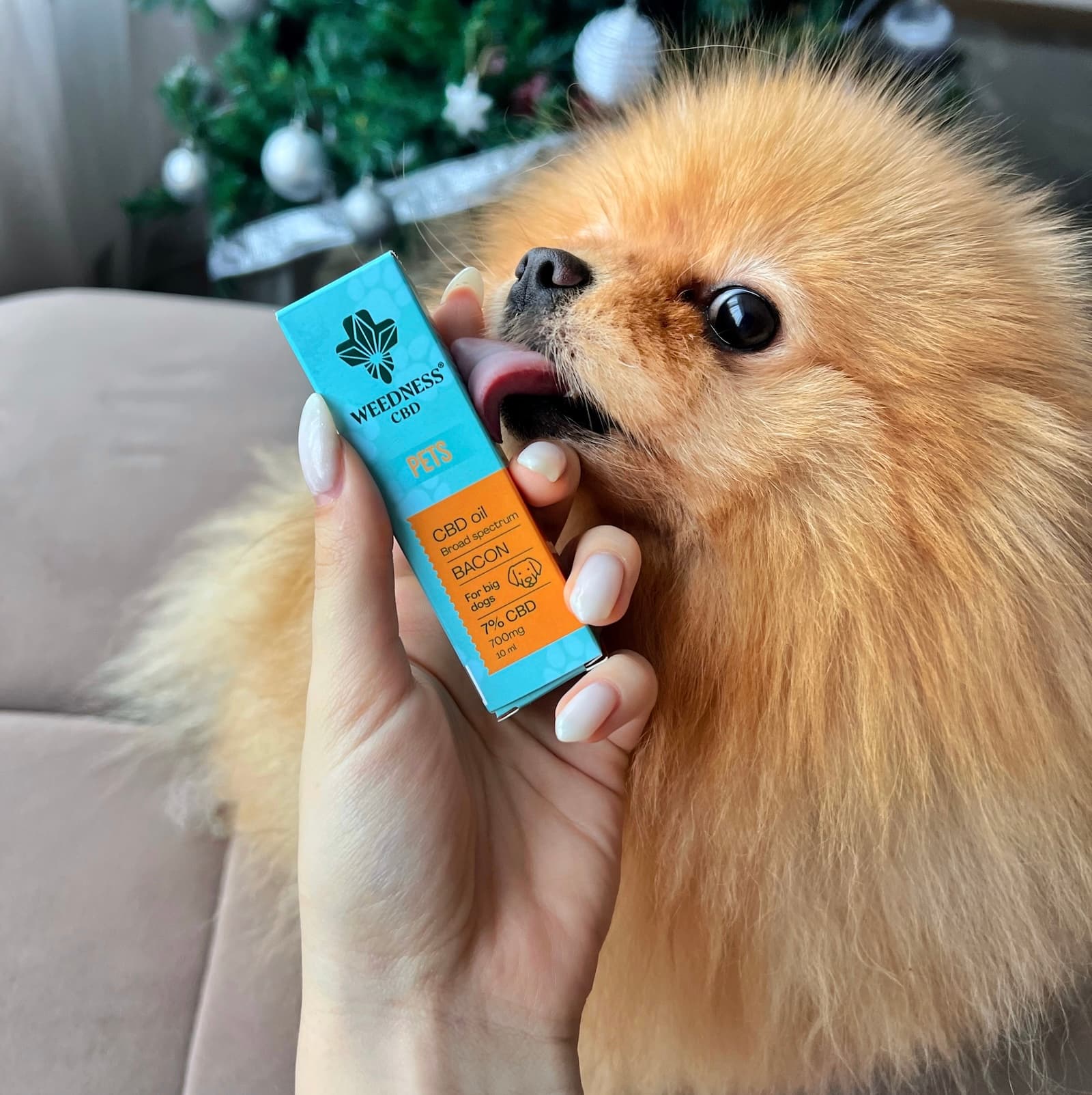 Huile de CBD 7% pour Grands Chiens | Bacon 10ml
